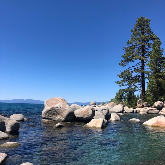 Meet your Posher, Lexi - Picture 1 of 1